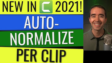 Auto-normalize per Clip in Camtasia 2021