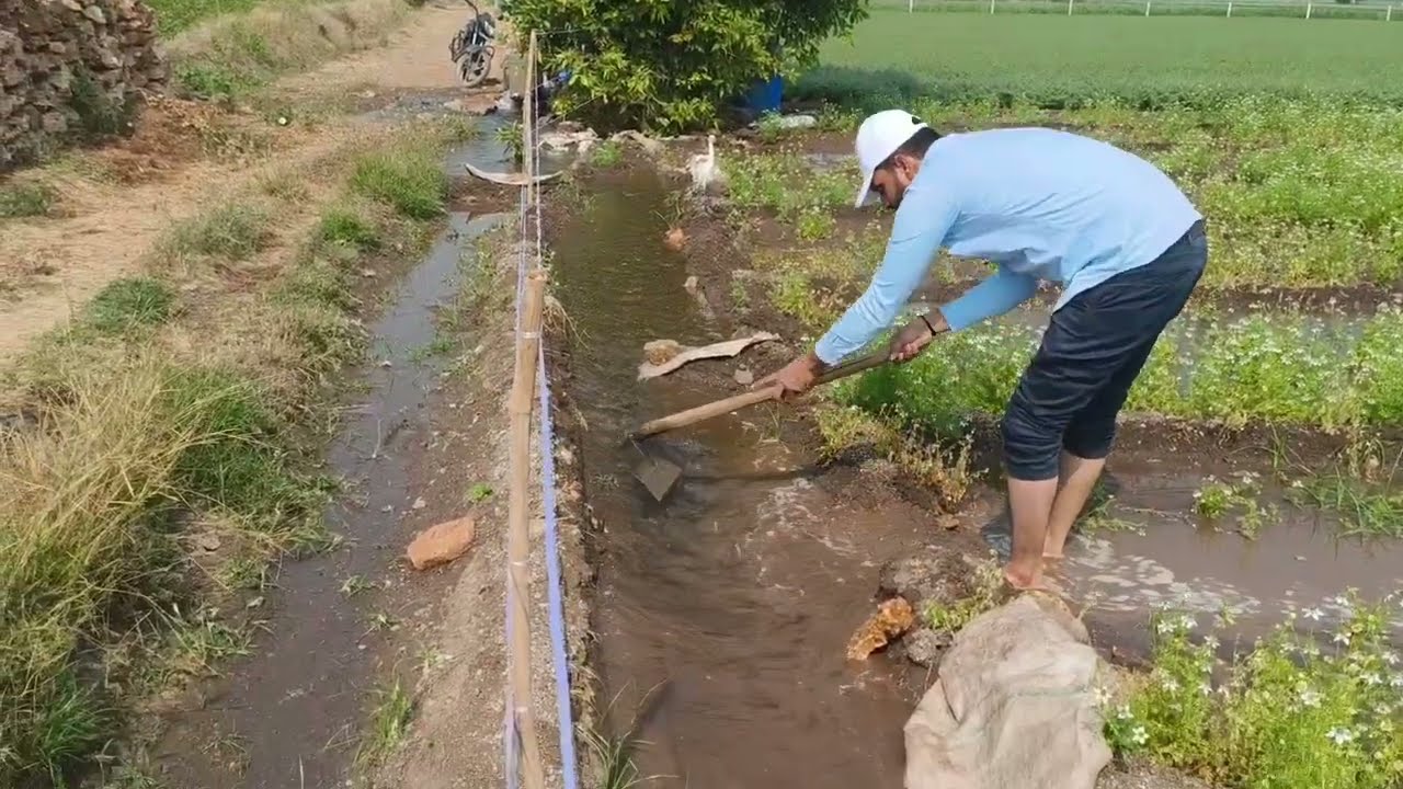 પાતાપુર ગામની ખેતી અને દેશી લાઈફસ્ટાઈલ | વાડીએ પાણી વાળ્યું ...