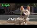 Ralph Shrek Part 2 A Flying Talking Dog Ralph Shrek Part 2 A Flying Talking Dog