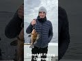 Family crushes the fish in Ketchikan ! #ketchikan #alaskacruise #alaskafishing
