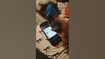 gameboy and gameboy emulator