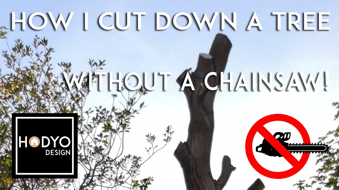 How To Cut A Fallen Tree Without A Chainsaw