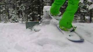 Spring Jib Edit