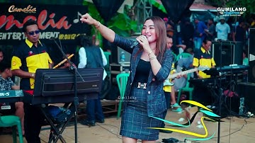 CAMELIA PELAN TAPI PASI -HARTA DAN SURGA RIA ANDIKA - BP.SUNARTO SOUND TUBANAN DUREN