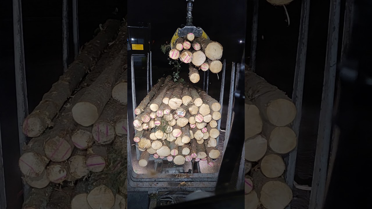 Tukki kuorman purkua Kesla 2117