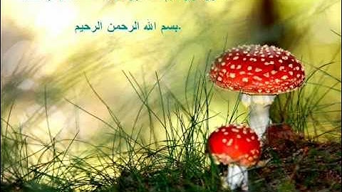 سورة ابراهيم للشيخ فاروق ماحي  FAROUK MAHI