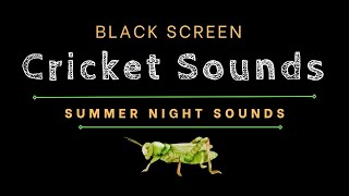 10H Black Screen - Cricket sounds - Sleeping cricket sounds - Soft summer night sounds