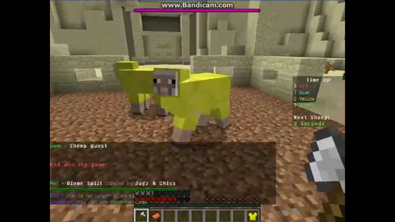 Sheep quest | #1 Как же так?