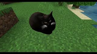 I Got Maxwell the Cat in Minecraft!