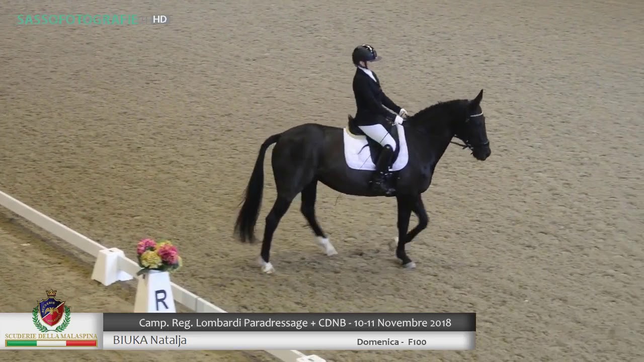 Natalja Biuka&Esra Danka T F100 dressage