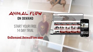 Tour The New Animal Flow On Demand App