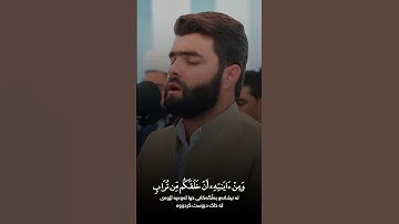ماتیسر من سورة الروم_بيشةوا قادر الكردي