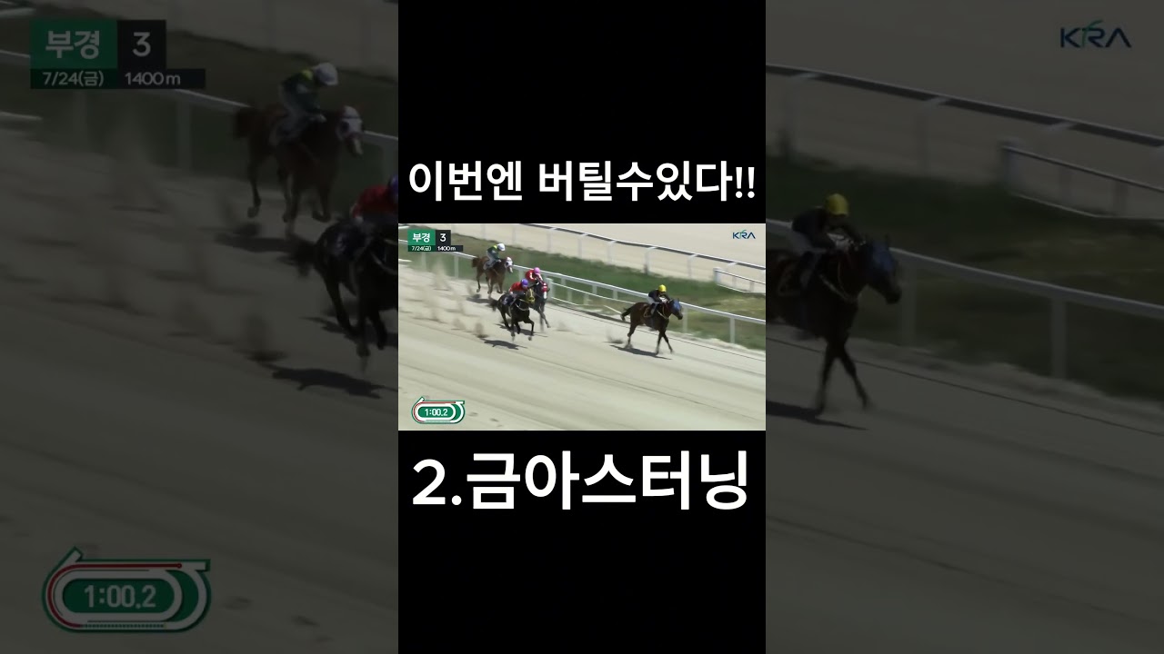 이번엔 버틷수있다!!   #경마  #경마예상  #경마방송  #경마예상방송  #서울경마  #금요경마  #토요경마  #일요경마 #경마장