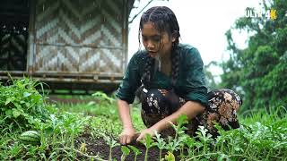 From Planting to Harvest: A Village Girl’s Watermelon Journey in the Rain | 4K Rural Life" screenshot 3