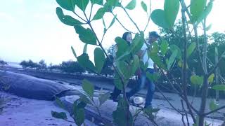 Download Lagu spin mengusung rindu MP3 Download Lagu spin mengusung rindu MP3