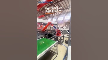 SZGH general-purpose robot (suitcase molding loading and unloading application)