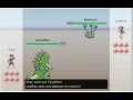 Pokemon Online Battle Simulator Gameplay