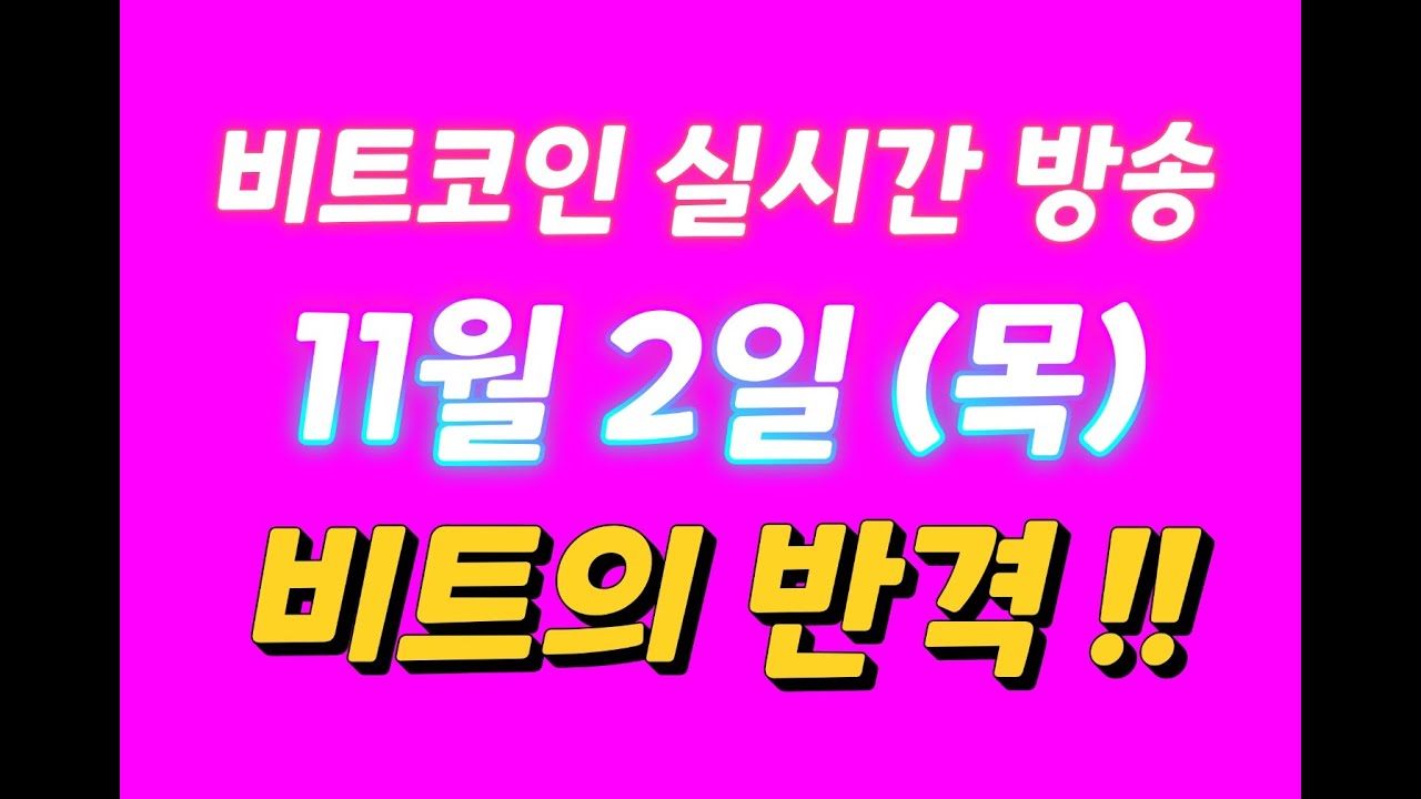 비트코인 11월 2일 라이브 방송 / 비트의 반격 !!
