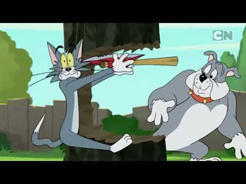 Tom And Jerry Funny Seen 😂 #tomandjerry