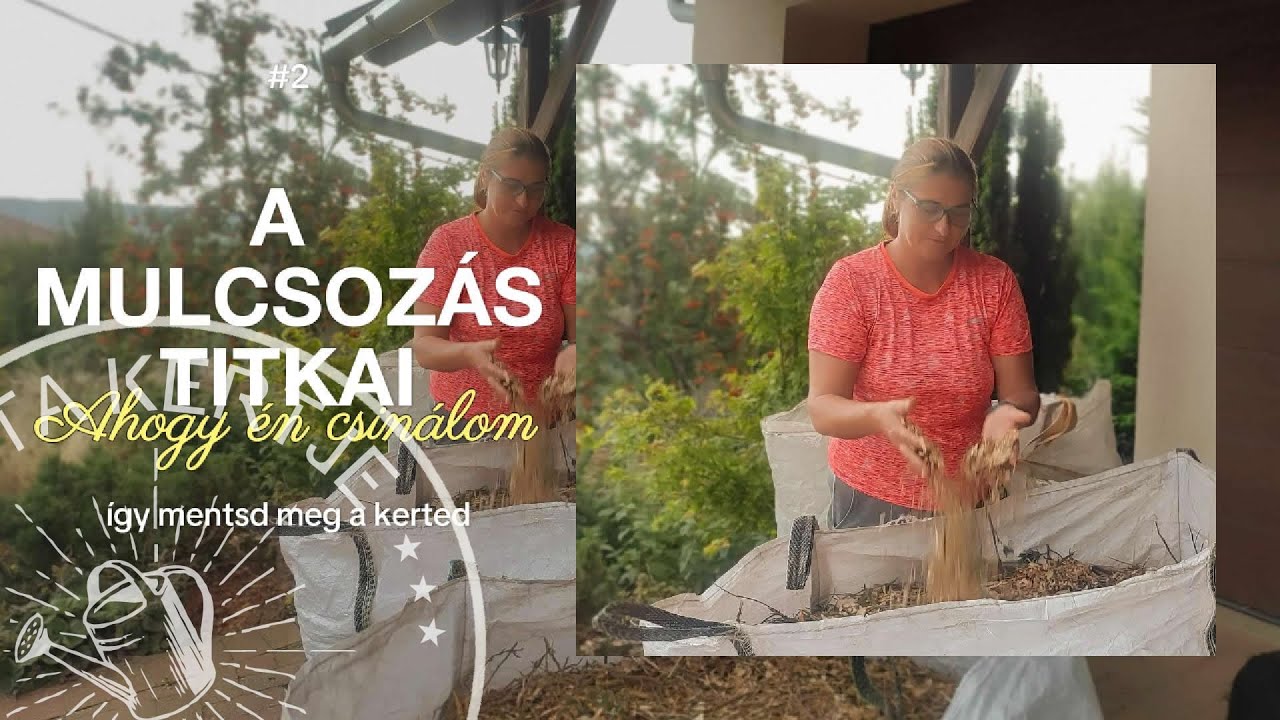 A mulcsozás titkai - így mentsd meg a kerted