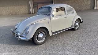 1965 VW Beetle: The Walkaround by Hardtuned