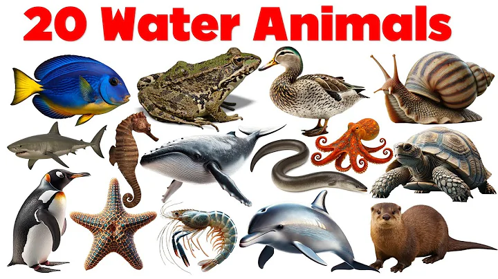 20 Sea Animals for Kids | Learn Ocean Animal Names in English with Sounds and Pictures | Marine Life