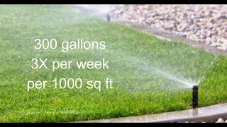 Water Wise - Water Your Lawn 3 Times a Week Water Wiser Sprinkler Schedule