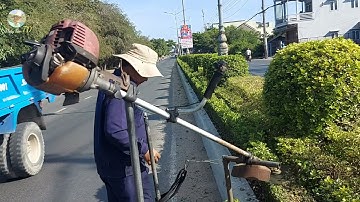 Độc đáo máy cắt tỉa cây cảnh "Độ - Chế" | Ba Lúa xem cận cảnh cắt tỉa cây cảnh công viên - 2021.