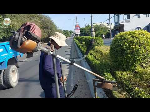 Video Độc đáo máy cắt tỉa cây cảnh 
