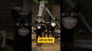 ठंडी मार दिया #funny #thetharpuns #funnymunna #comedy #dog