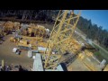 Terrifying Cranes FPV