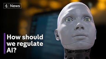 Experts debate: how should AI be regulated?