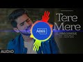 Tere Mere Song (Reprise) | Arman malik ft. Daniel k. Rego | Amaal mallik | latest Hindi full audio
