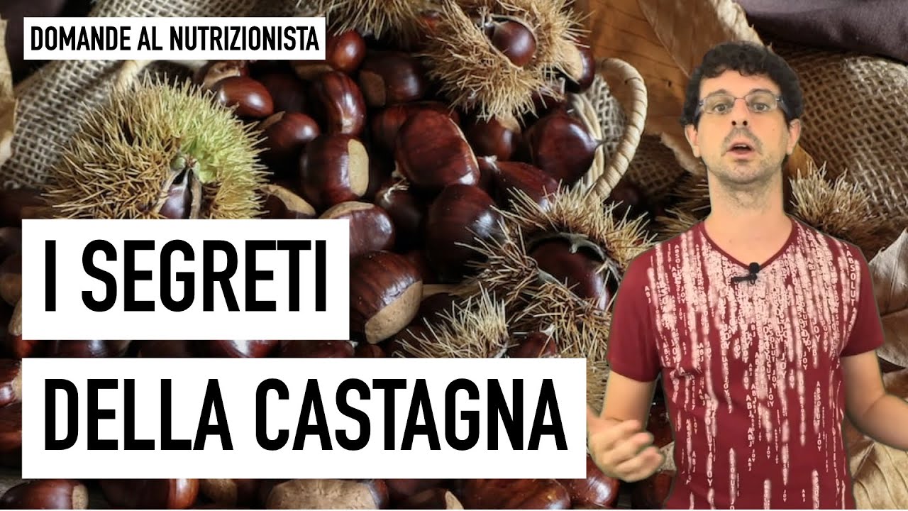 I segreti della castagna