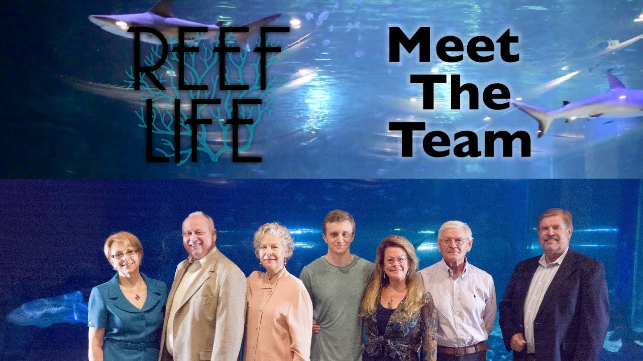 Reef Life's Rockstar Team YouTube