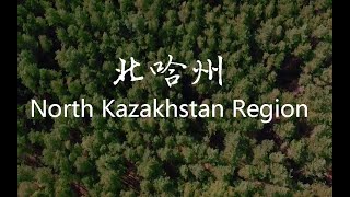 [航拍] 北哈州大自然 - North Kazakhstan Region