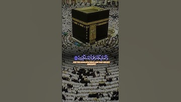 خالد الجليل قرآن كريم #quran #اكسبلور #خالد_الجليل #الشيخ_خالد_الجليل #قران_كريم_ارح_سمعك_وقلبك #fyp
