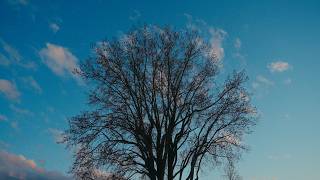 Fragments | Sony ZVE1 Cinematic film