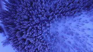 Snow Flurries || Calm Meditation || Soothing Music for the Soul ||
