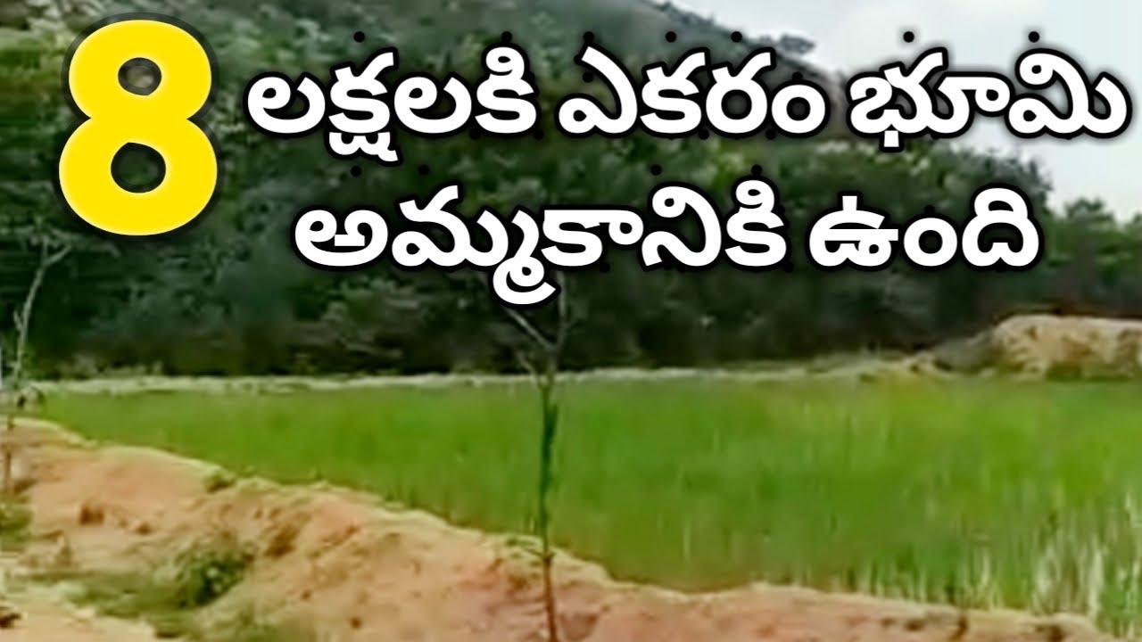 Low Price Land for sale YouTube