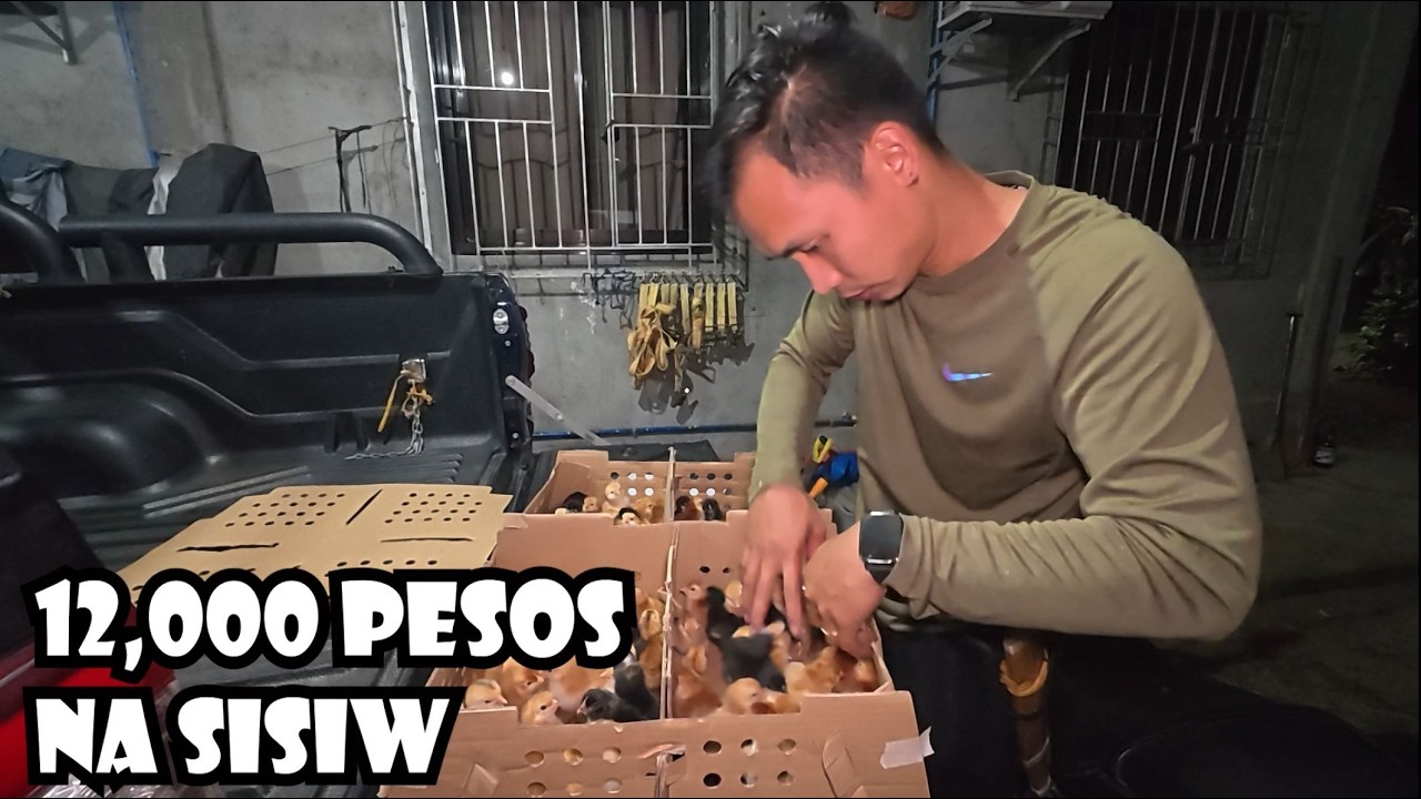 12,000 Pesos na Sisiw ang Dumating sa Farm | May Side Trip Kami ni Misis