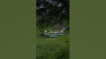 تلاوه من القران الكريم