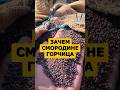 Зачем смородине горчица #огород #сад #дача #урожай