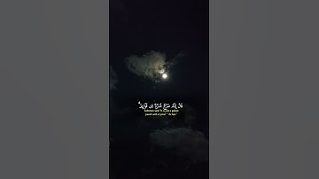 بسم الله الرحمن الرحيم تلاوة عطرة للشيخ #ياسر_الدوسري #القرآن_الكريم
