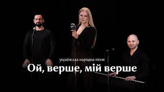 Ой верше мій верше — Чорний Джуфер (тріо) | українська народна пісня a cappella