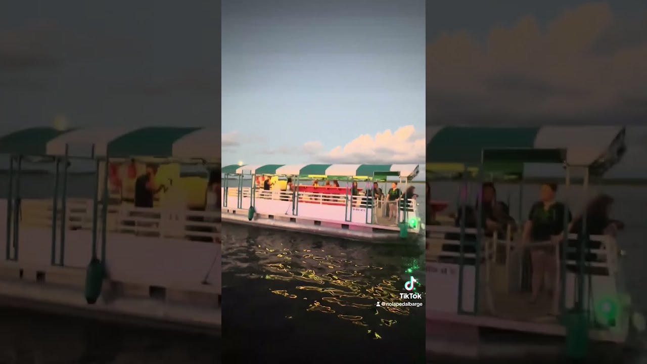 Thumbnail of Cruise and Booze: New Orleans Swamp Tour Party
