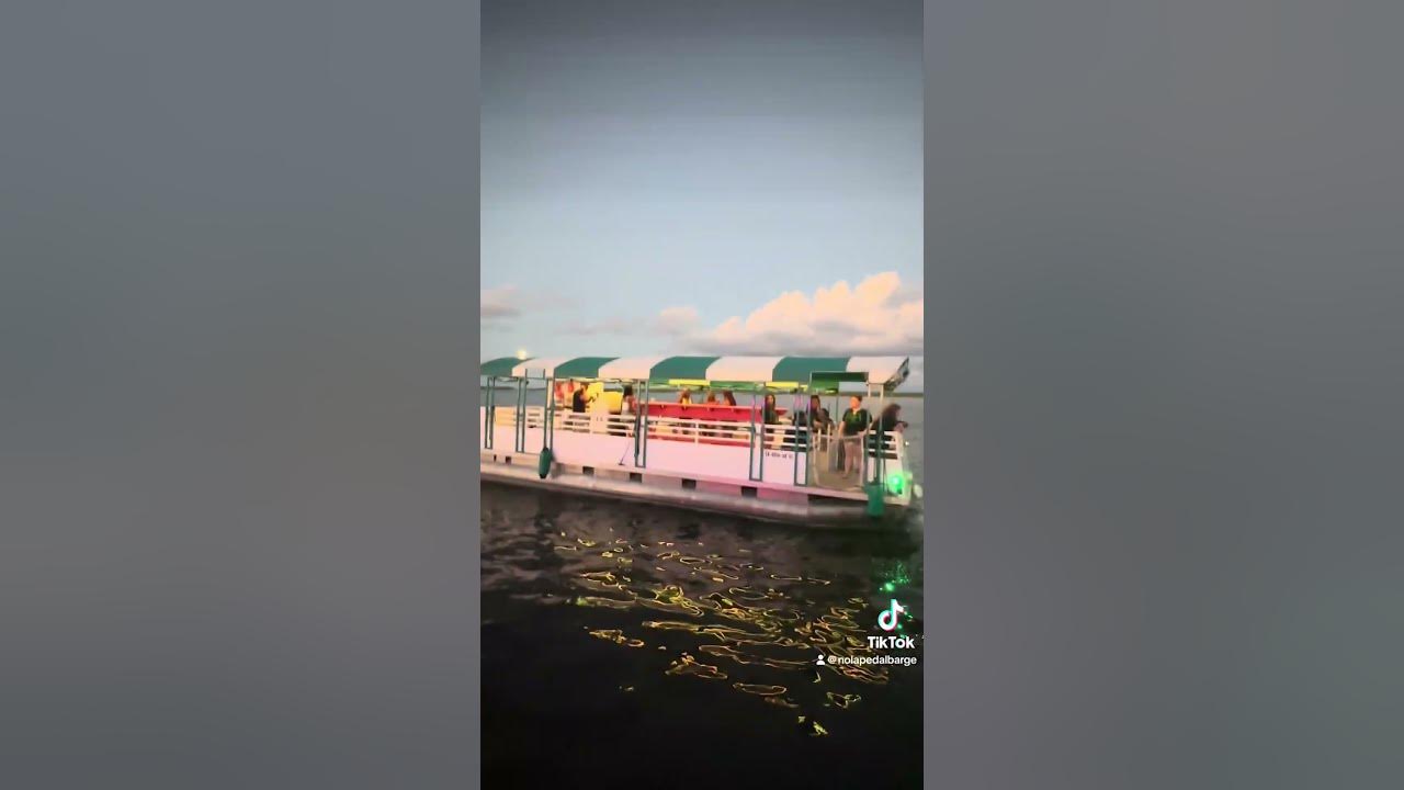 Cruise and Booze: New Orleans Swamp Tour Party