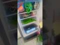 Laptop Cooler Room #laptop #fridge #cool