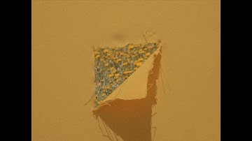 Monad - UDB (music video)