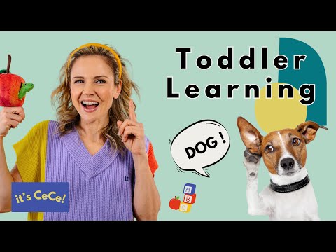 Best Toddler Videos |Learn to Talk and Sign| - Episode One - Let's Learn About Dogs